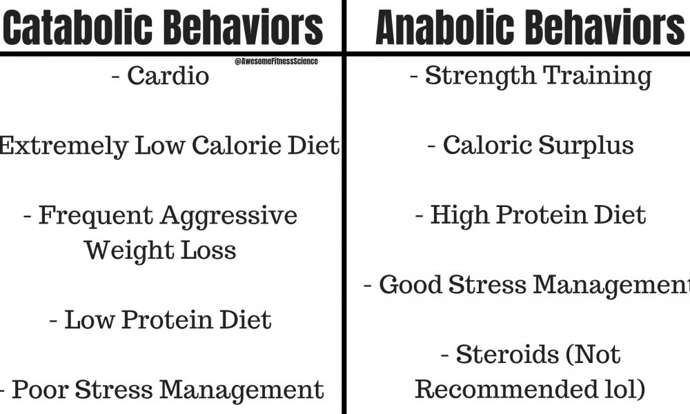 catabolic vs anabolic behaviors